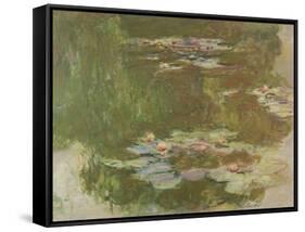 Lily Pond, 1881-Claude Monet-Framed Stretched Canvas