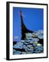 Lily Pond and Temple Reflection in Humble Administrators Garden, Suzhou, Jiangsu, China-Walter Bibikow-Framed Photographic Print