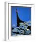 Lily Pond and Temple Reflection in Humble Administrators Garden, Suzhou, Jiangsu, China-Walter Bibikow-Framed Photographic Print