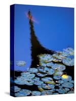 Lily Pond and Temple Reflection in Humble Administrators Garden, Suzhou, Jiangsu, China-Walter Bibikow-Stretched Canvas