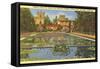 Lily Pond, Balboa Park, San Diego, California-null-Framed Stretched Canvas