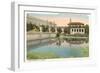 Lily Pond, Balboa Park, San Diego, California-null-Framed Art Print