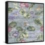 Lily Pond Dove Grey-Bill Jackson-Framed Stretched Canvas