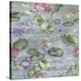 Lily Pond Dove Grey-Bill Jackson-Stretched Canvas