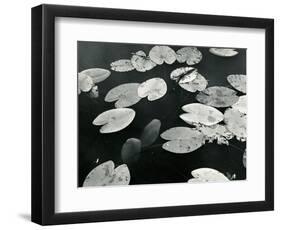 Lily Pond, Europe, 1968-Brett Weston-Framed Photographic Print