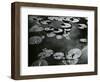 Lily Pond, Europe, c. 1968-Brett Weston-Framed Photographic Print