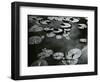 Lily Pond, Europe, c. 1968-Brett Weston-Framed Photographic Print