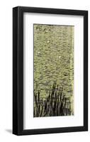 Lily Pond III-Erin Clark-Framed Art Print