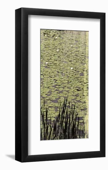 Lily Pond III-Erin Clark-Framed Art Print