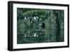 Lily Pond, Monets House, Giverny, France-Peter Thompson-Framed Photographic Print