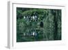 Lily Pond, Monets House, Giverny, France-Peter Thompson-Framed Photographic Print