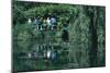 Lily Pond, Monets House, Giverny, France-Peter Thompson-Mounted Photographic Print