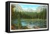 Lily Pond, Wild Basin, Colorado-null-Framed Stretched Canvas