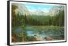 Lily Pond, Wild Basin, Colorado-null-Framed Stretched Canvas