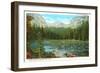 Lily Pond, Wild Basin, Colorado-null-Framed Art Print