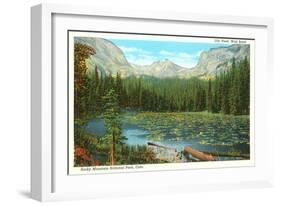 Lily Pond, Wild Basin, Colorado-null-Framed Art Print