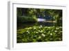 Lily Pond With A Footbridge-George Oze-Framed Photographic Print