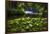 Lily Pond With A Footbridge-George Oze-Framed Photographic Print