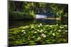 Lily Pond With A Footbridge-George Oze-Mounted Photographic Print