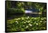 Lily Pond With A Footbridge-George Oze-Framed Stretched Canvas