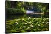 Lily Pond With A Footbridge-George Oze-Stretched Canvas