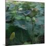 Lily Pond1, 2021, (digital)-Scott J. Davis-Mounted Giclee Print