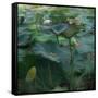 Lily Pond1, 2021, (digital)-Scott J. Davis-Framed Stretched Canvas