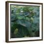 Lily Pond1, 2021, (digital)-Scott J. Davis-Framed Giclee Print