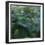 Lily Pond1, 2021, (digital)-Scott J. Davis-Framed Giclee Print