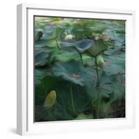 Lily Pond1, 2021, (digital)-Scott J. Davis-Framed Giclee Print