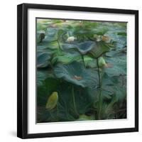 Lily Pond1, 2021, (digital)-Scott J. Davis-Framed Giclee Print