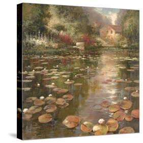 Lily Pond-K^ Adams-Stretched Canvas