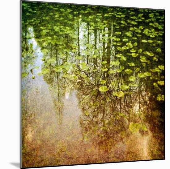 Lily Pond-Pete Kelly-Mounted Giclee Print