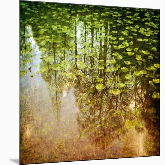 Lily Pond-Pete Kelly-Mounted Giclee Print