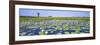 Lily Pond-Wayne Bradbury-Framed Photographic Print