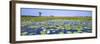 Lily Pond-Wayne Bradbury-Framed Photographic Print