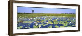 Lily Pond-Wayne Bradbury-Framed Photographic Print