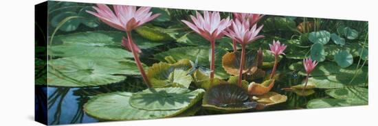 Lily Pond-Michael Jackson-Stretched Canvas