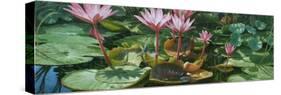 Lily Pond-Michael Jackson-Stretched Canvas