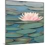 Lily Pool II-Adam Brock-Mounted Art Print