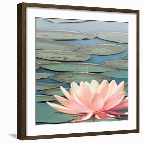 Lily Pool IV-Adam Brock-Framed Art Print