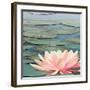 Lily Pool IV-Adam Brock-Framed Art Print