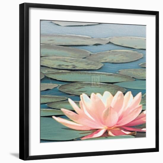 Lily Pool IV-Adam Brock-Framed Art Print