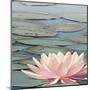 Lily Pool IV-Adam Brock-Mounted Giclee Print