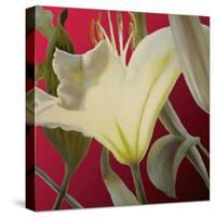 Lily Red-Jan McLaughlin-Stretched Canvas