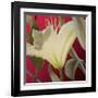 Lily Red-Jan McLaughlin-Framed Art Print