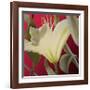 Lily Red-Jan McLaughlin-Framed Art Print