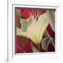 Lily Red-Jan McLaughlin-Framed Art Print