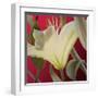 Lily Red-Jan McLaughlin-Framed Art Print