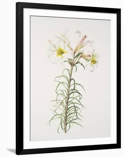 Lily regale-Sally Crosthwaite-Framed Giclee Print